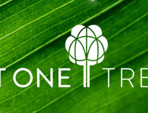 KHM Join JUST ONE Tree